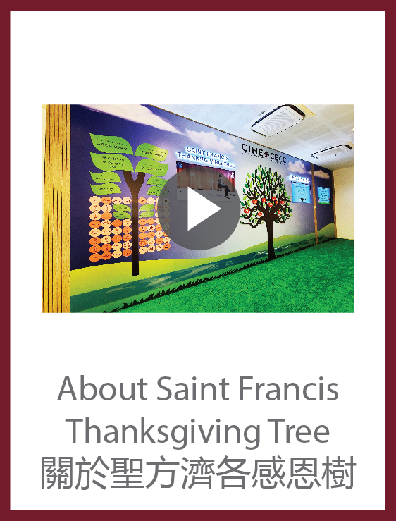 About Saint Francis Thanksgiving Tree Video